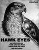 hawk_eyes